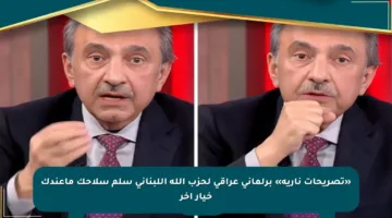«تصريحات نارية» برلماني عراقي لحزب الله اللبناني سلم سلاحك ماعندك خيار آخر